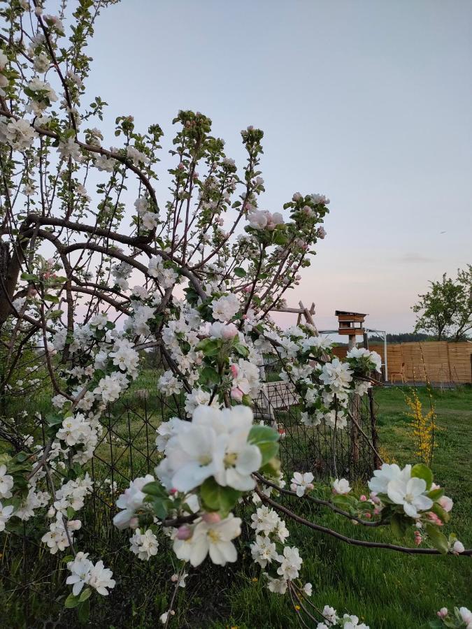 Gosciniec Villa Koden Eksteriør bilde